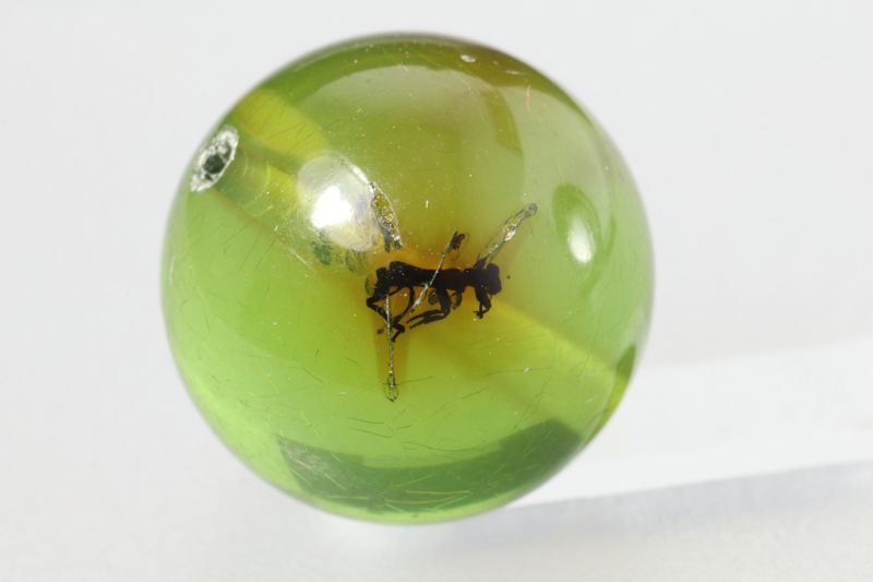 Amber Beads (with insects)
